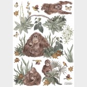 Wandsticker - Orangutan Family