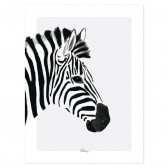 Poster - Zebra