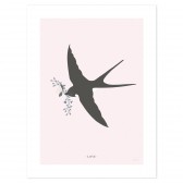 Poster - Schwalbe, Rosa