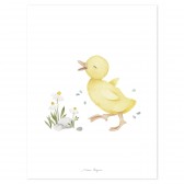 Poster - Little Duck
