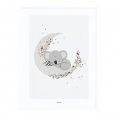 Poster - Süßer Koala