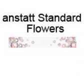 Absturzsicherung Flowers anstatt Standard