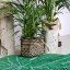Lorena Canals Teppich Monstera Leaf