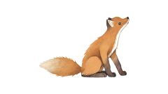 Wandsticker - Fuchs