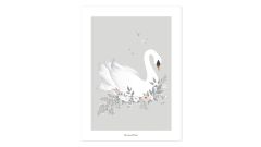 Poster - Schwan, grau