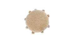 Waschbares Sitzkissen Bubbly Honey, Ø 48cm
