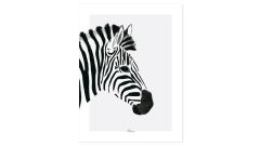 Poster - Zebra