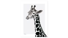 Poster - Giraffe