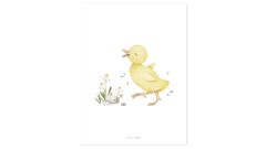 Poster - Little Duck
