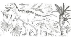 Wandsticker - T-Rex