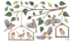Wandsticker - Robins Redbreast