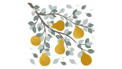 Wandsticker - Birnenzweig