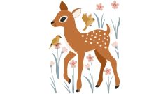Wandsticker - Junger Hirsch
