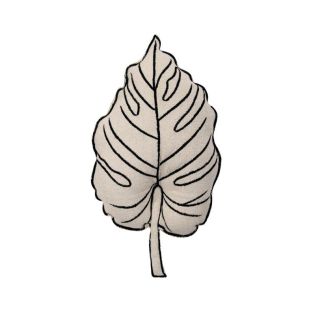 Waschbares Kissen Leaf, 30 x 50 cm